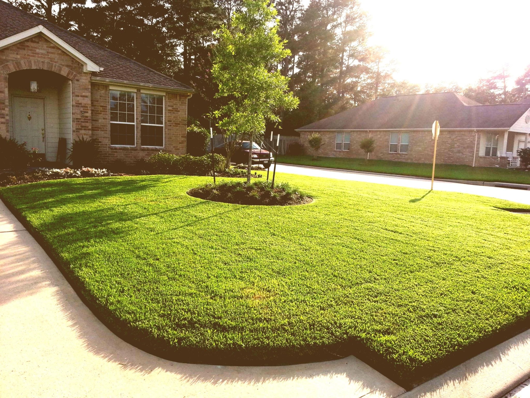 front landscaping | Division 9 Inc.